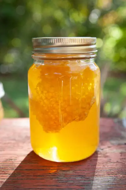 Golden honey fills a glass mason jar with gold metal rim on top. Raw honeycomb floats inside the honey jar. Jar sits on an old, wooden, paint peeling, farm bench