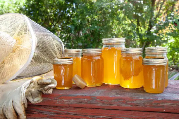 warm sunlight lighting up and shining through glass jars of golden honey. some jars have raw honeycomb inside. A chunk of beeswax is sitting next to a glass jar with metal gold rim on top of each jar. Sitting next to beekeeper hat and gloves.