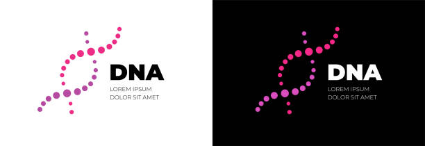 DNA molecule logo design. Medicine gene helix structure logotype vector concept. Genetic molecular business brand identity template DNA molecule logo design. Medicine gene helix structure logotype vector eps concept. Genetic molecular business brand identity template genetic makeup stock illustrations
