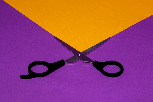 scissors on a purple background scattered out of them orange wave creative concept cuting pause break