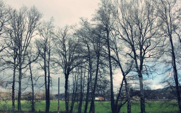 waiting in front of a restaurant and walking through a way with trees