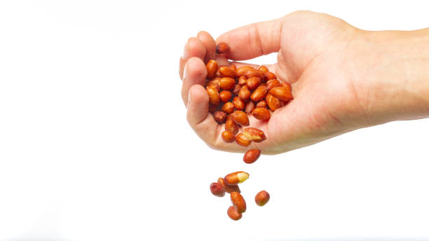 istock Hand pouring red peanuts on a white background with copy space 1376731201