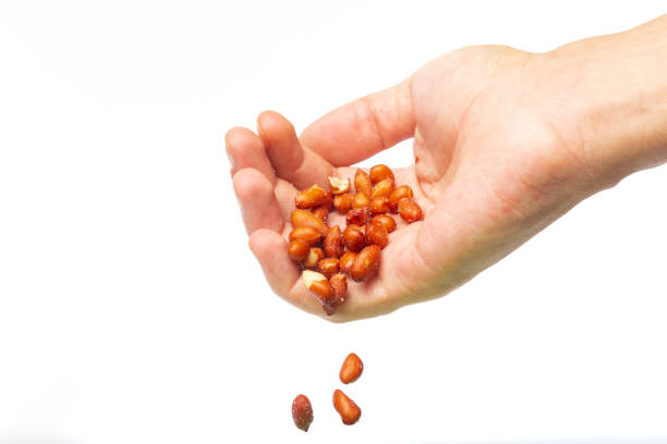 istock Hand pouring red peanuts on a white background with copy space 1376731224