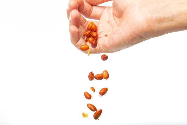 Hand pouring red peanuts on a white background with copy space