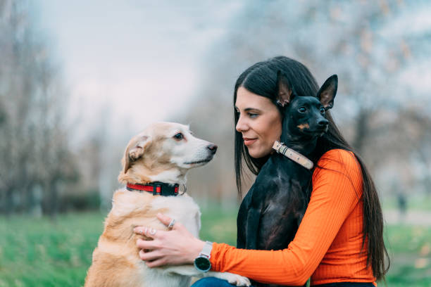 brunette woman with her two dogs, with a gesture of tenderness. concept, love for dog and pet - two dogs imagens e fotografias de stock