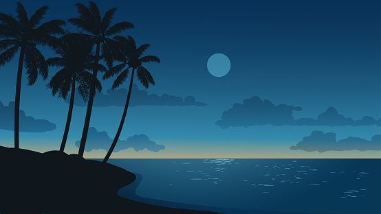 Tropical beach night illustration. There are coconut trees in silhouette and moon