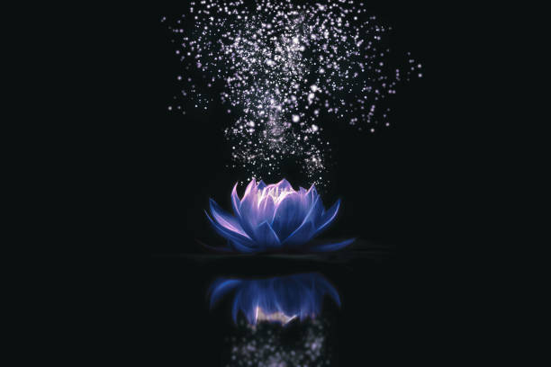 istock Blue lotus water lily on dark background 1376780173