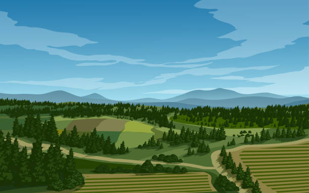 Countryside landscape with coniferous forest and farmland in aerial view Countryside landscape with coniferous forest and farmland in aerial view aerial view landscape stock illustrations