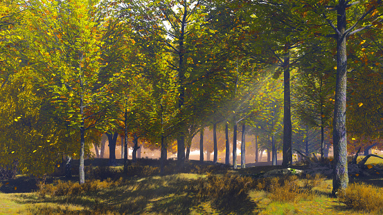 Scenic woodland landscape on a forest edge with golden autumn leaves falling from lush trees at clear sunny day. With no people fall season 3D illustration from my 3D rendering file.