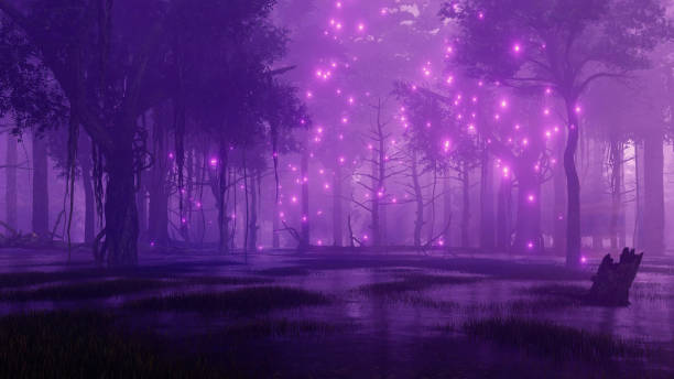 swampy night forest with mystical firefly lights - fairy forest fairy tale mist imagens e fotografias de stock