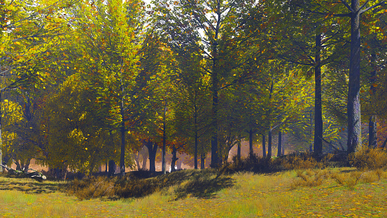 Peaceful autumnal landscape with leaves falling from lush autumn trees on the edge of scenic forest or park at sunny day. With no people fall season 3D illustration from my 3D rendering file.