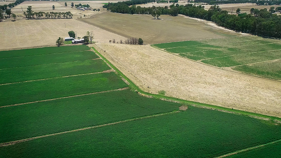 Aerial video of Lucerne growing in Central Victoria