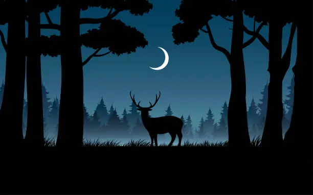 Vector illustration of Forest at night with deer