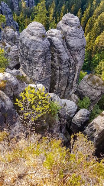 istock Rocks and trees like exploded drawing at Bastei Bridge, Saxony, Germany 1376846057