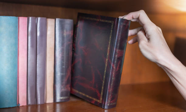 istock Female hand holding notebook and reading book for relaxing and the knowledge while sitting on the sofa in the living room in their house. 1376969191