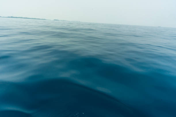 istock Clear clean blue sea ocean still wave water 1376995132