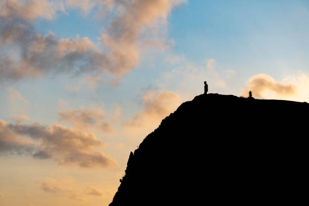 istock Man looking to the horizon 1377003636