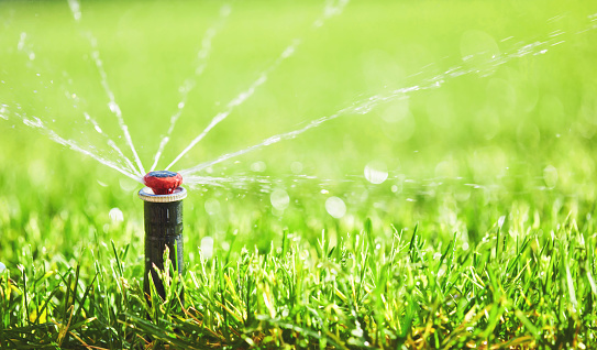 Irrigation sprinkler system at work in a back yard during summer