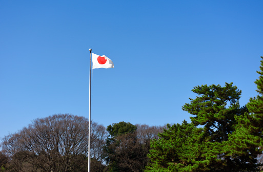 Japanese flag swaying in the wind against clear sky with copy space.
