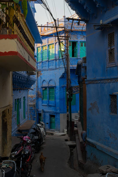 maison traditionnelle de couleur bleue. historiquement, les brahmanes hindous peignaient leurs maisons en bleu parce qu’ils étaient de caste supérieure, la tradition suit. - india brahmin hinduism tourism photos et images de collection