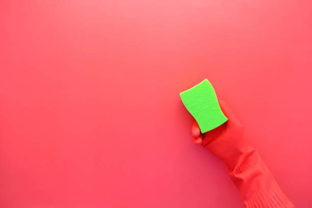 istock hand in rubber gloves holding a sponge on red background with copy space 1377027008