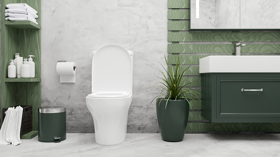 Modern stylish loft toilet bathroom interior in green and cement design with toilet bowl, sink, green bathroom shelves, plant, and accessories over cement loft wall. 3d rendering, 3d illustration