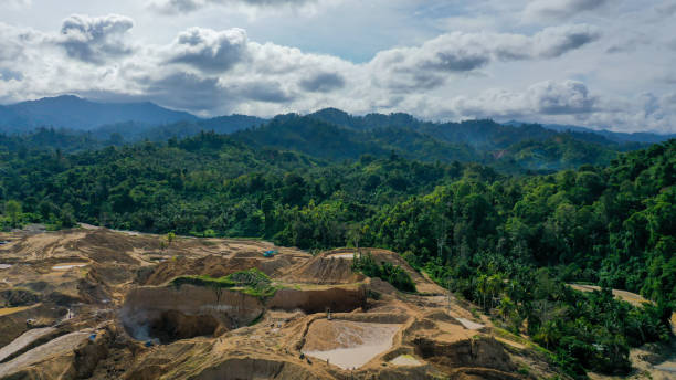 Illegal Mining Deforestation and River Pollution in Amazon Rainforest ...
