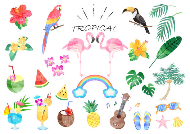 Tropical illustration set Hand-painted watercolor style Tropical illustration set Hand-painted watercolor style rainbow toucan stock illustrations