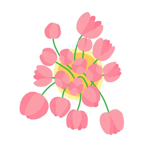Vector illustration of Tulip bouquet flowers