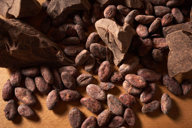 kakaobohnen und schokolade auf dunklem hintergrund, hautnahaufnahme - bean macro brown roasted stock-fotos und bilder