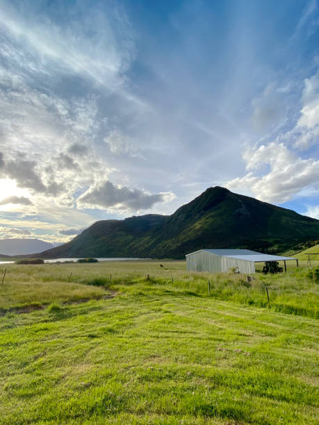 istock Sunset at Dingleburn Station in Wanaka, NZ 1377265391