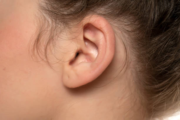 istock female ear with ear ring hole 1377271965