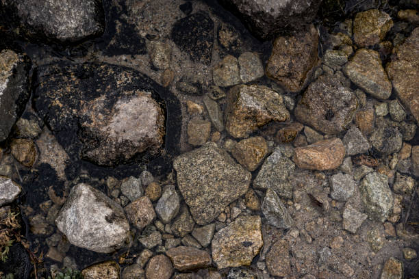 istock Close-up of clear water flowing through pebbles in stream 1377312843