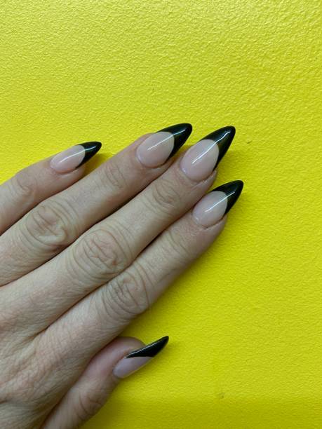 Professionelle Nagelpinsel Mit Schrägem Kopf – 2-teiliges Set, Schwarzer Griff, Für Französische Maniküre & Gel/ Acryl