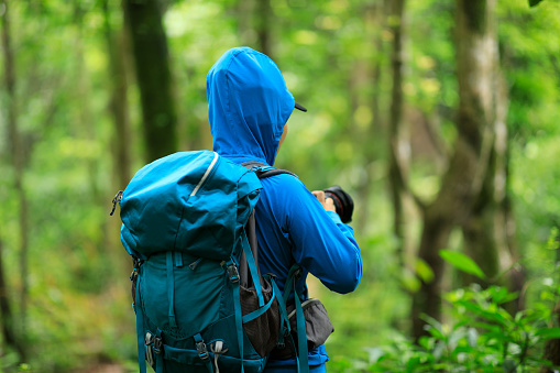 Woman photographer taking photo  in spring forest