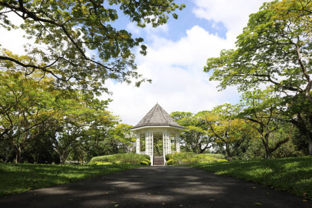 istock Botanical Gardens, Pathway to Bandstand 1377369671