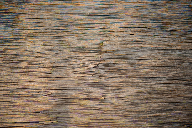 Cracked surface of old plywood. Background for design.