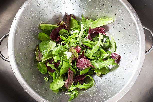 salat in sieb gewaschen - colander stock-fotos und bilder