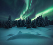 Winter Night Landscape.Aurora Borealis Over Beautiful Snow formations And Pine Tree Forest.