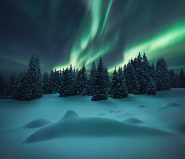 Winter Night Landscape.Aurora Borealis Over Beautiful Snow formations And Pine Tree Forest. stock photo