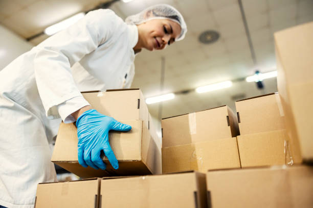 Low angle view of a female food factory worker arranging boxes. Low angle view of a female food plant worker arranging boxes. production line worker stock pictures, royalty-free photos & images