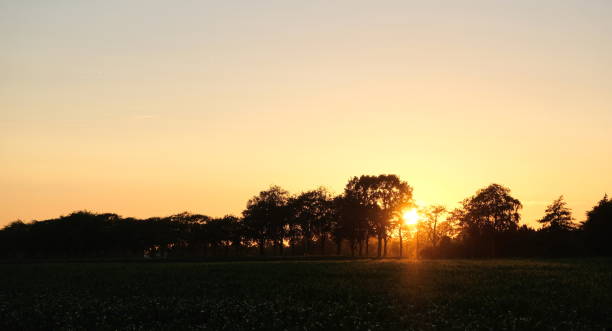 istock irrigation farm fields sunset hot air balloon water trees 1377424633