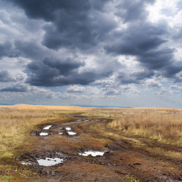 istock autumn dirty road under a dark sky 1377432344