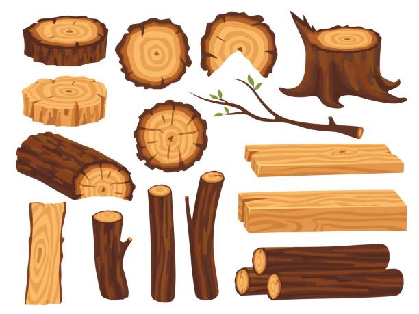 illustrazioni stock, clip art, cartoni animati e icone di tendenza di tronchi di legno dei cartoni animati. tronchi di legno, legname e tronchi. industrie edili, materiali ecologici naturali. mucchio isolato di legname, taglio albero elementi vettoriali puliti - lumber industry timber wood plank