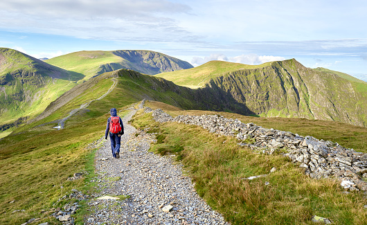 A hiker walking along a stone chip path on a mountain ridge towards the summits of Hobcarton and Hopegill Head in the Lake District, England, UK.