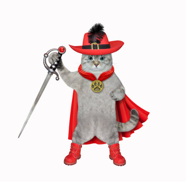 istock Cat ashen in red cloak and hat with sword 1377473641