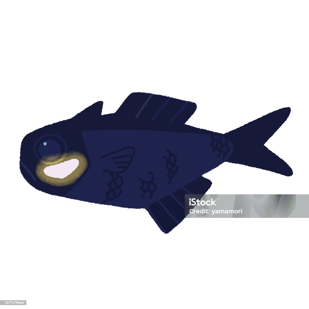 Spli Flashlight Fish Splitfin Flashlightfish With A Large Photophore Under The Eyes Stock ...