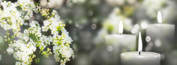 rama de floración blanca y 3 luces de velas blancas afuera en un jardín, concepto floral con decoración de velas encendidas para el fondo contemplativo de la atmósfera photo