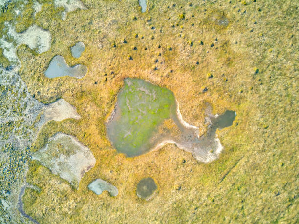 istock Aerial view of an natural shaped textures. 1377548882