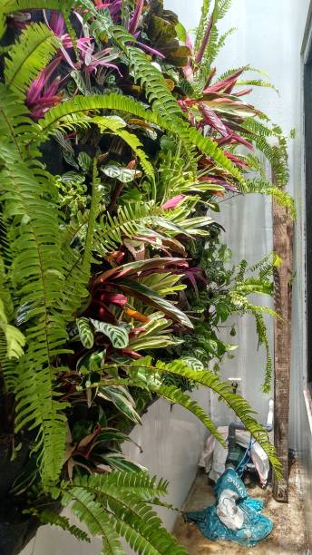 istock beautiful tropical flower garden ideas 1377553171